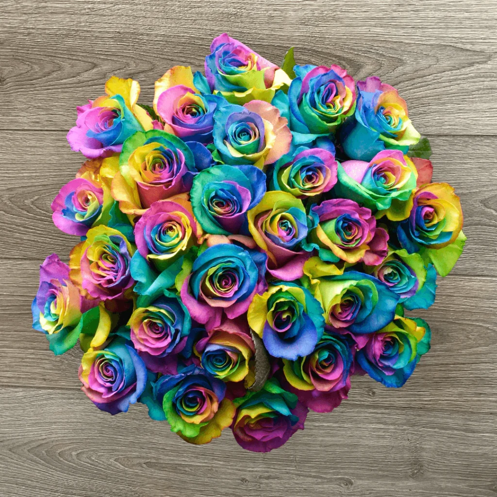 Rosaholics: Discover the Most Stunning & Freshest Roses Online! 2025 Variety of Roses Available