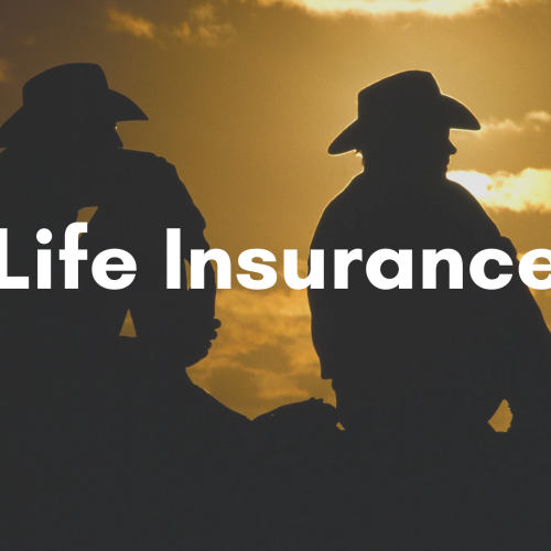 Top 10 Life Insurance Policies for Families in 2024